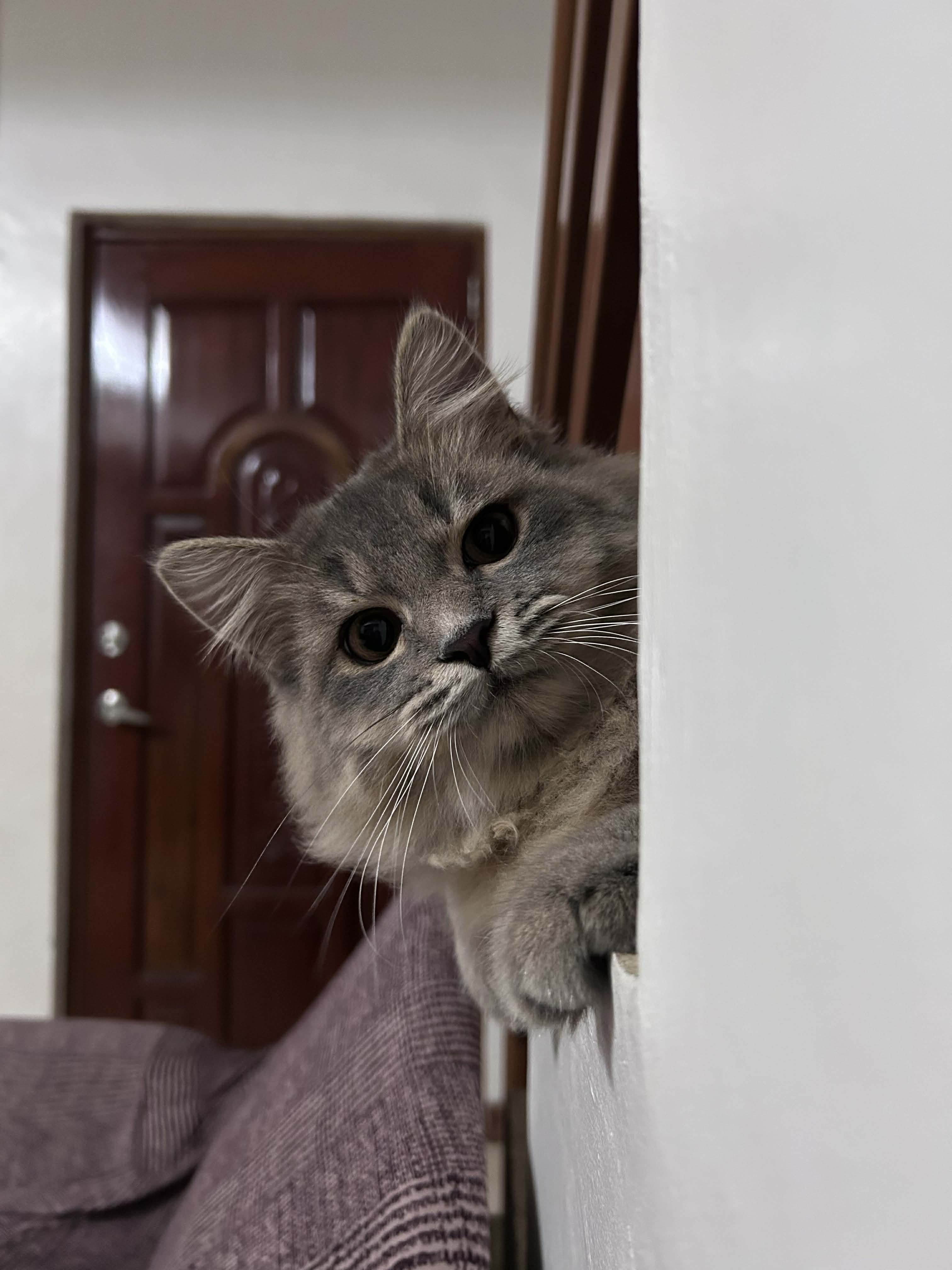 KAIRO