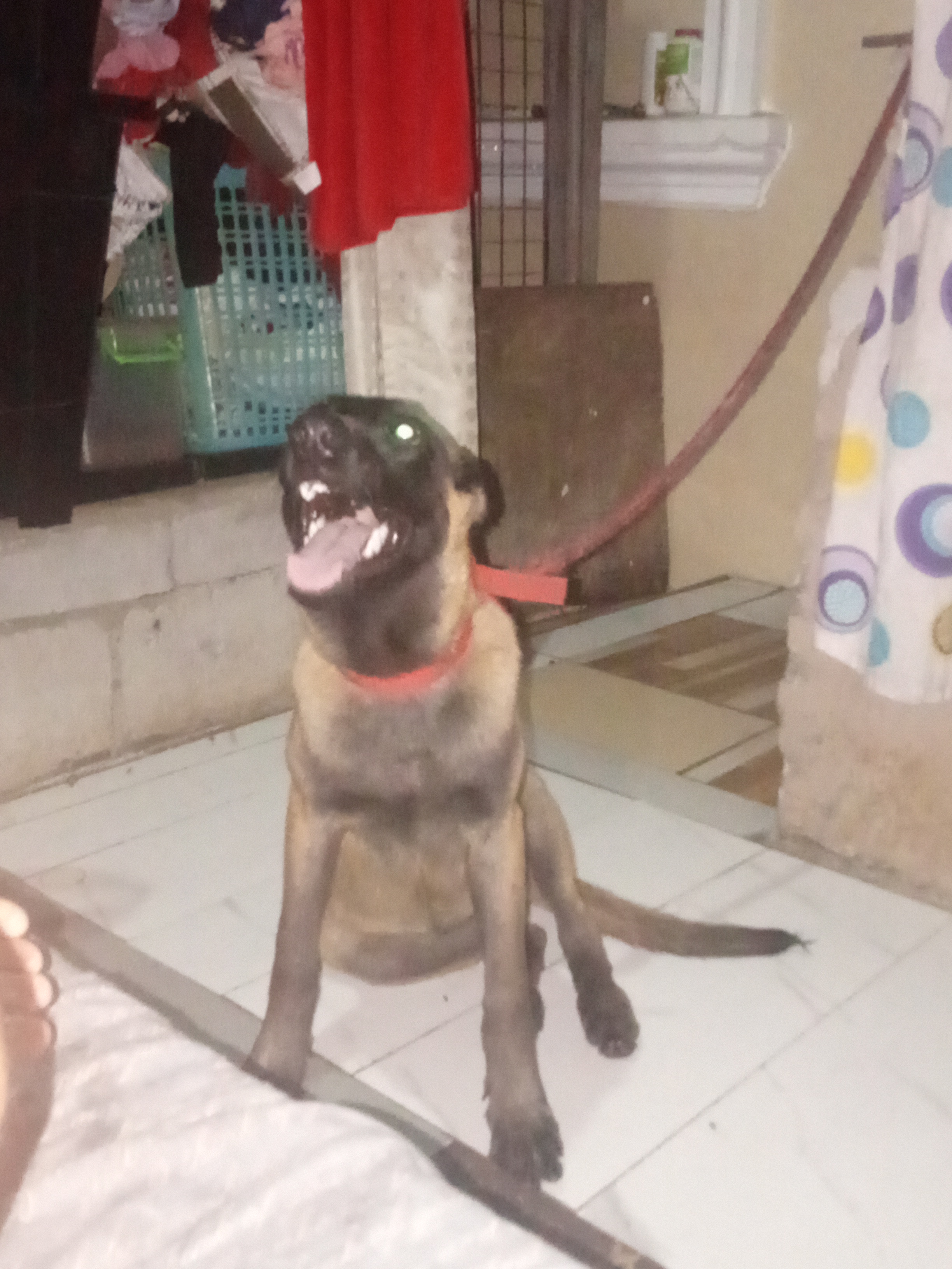 nala