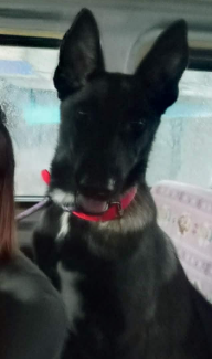Luna